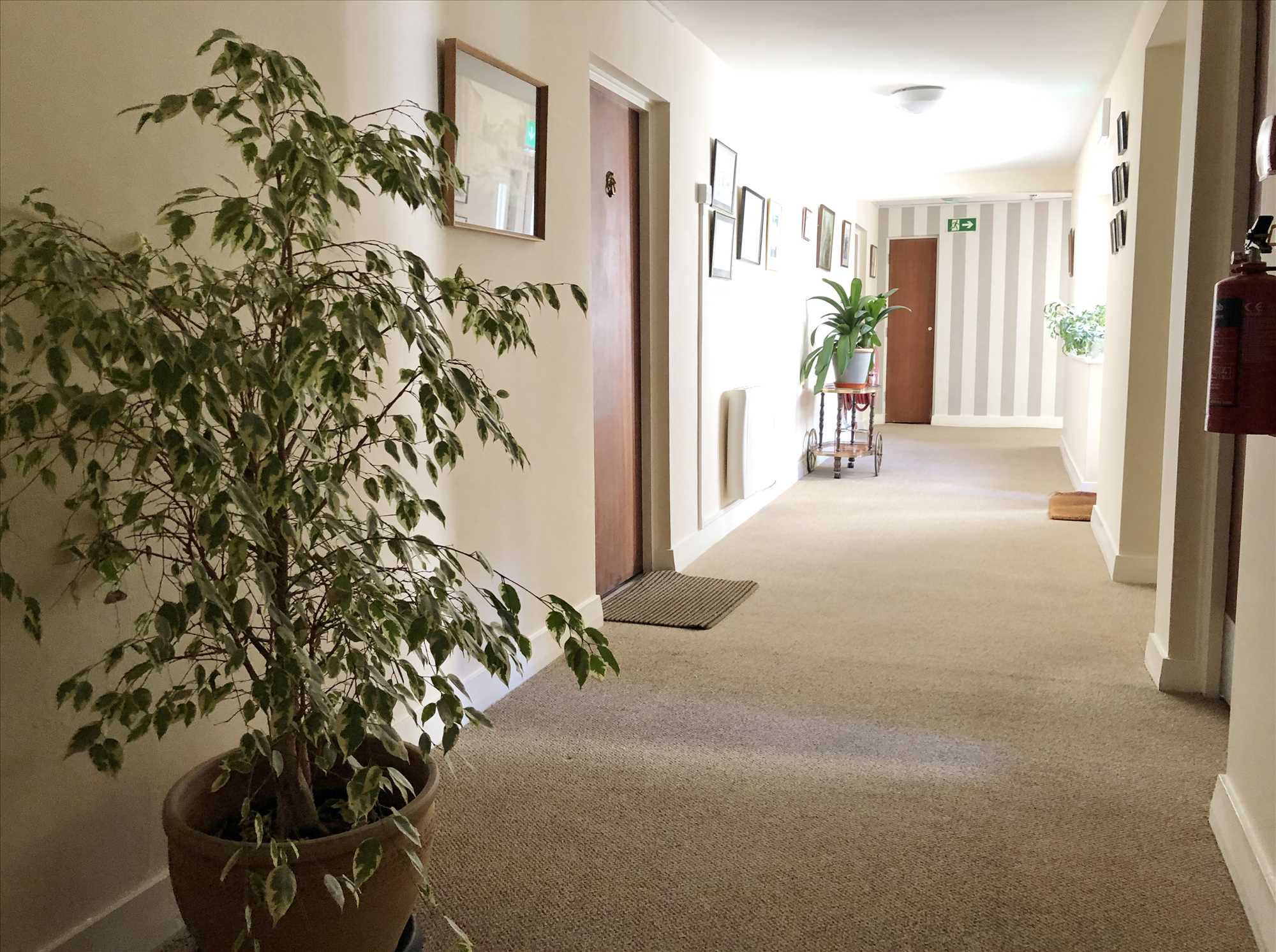 Melville Court, Filey - Picture 3