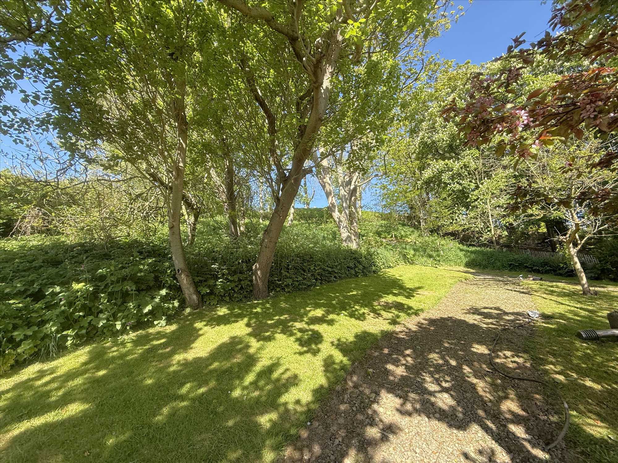 Swiss Cottage Court, The Beach, Filey - Picture 30