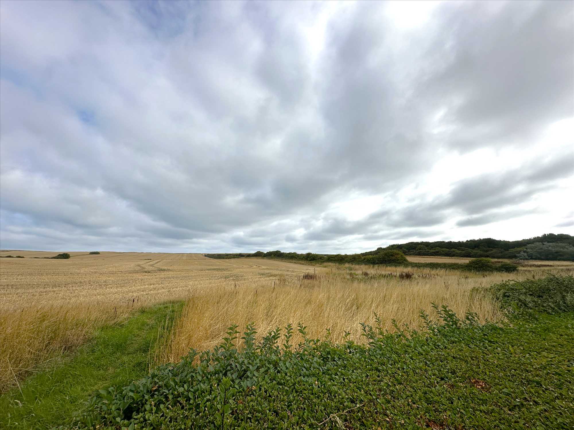 Cherry Tree Drive, Filey - Picture 18