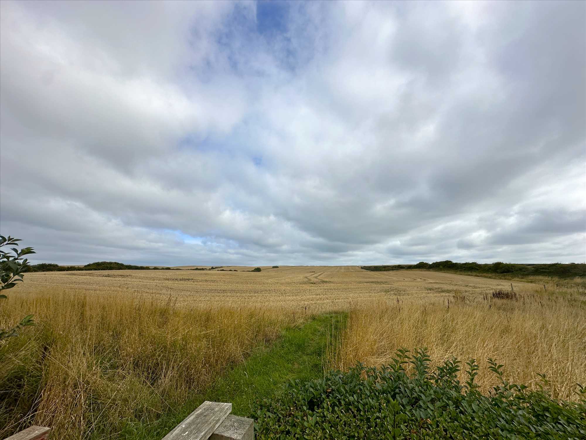 Cherry Tree Drive, Filey - Picture 19