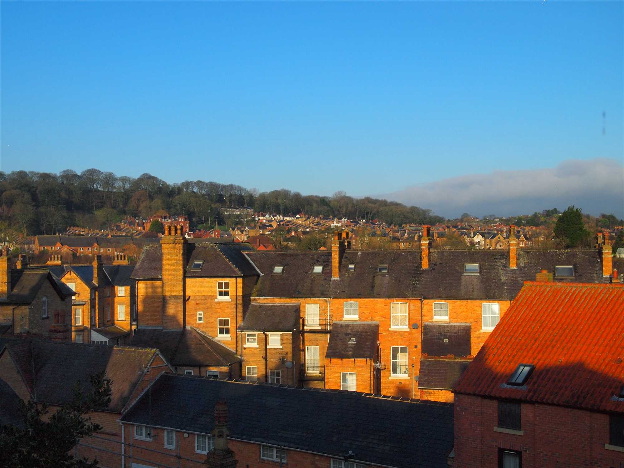 Oriel Crescent - Picture 19